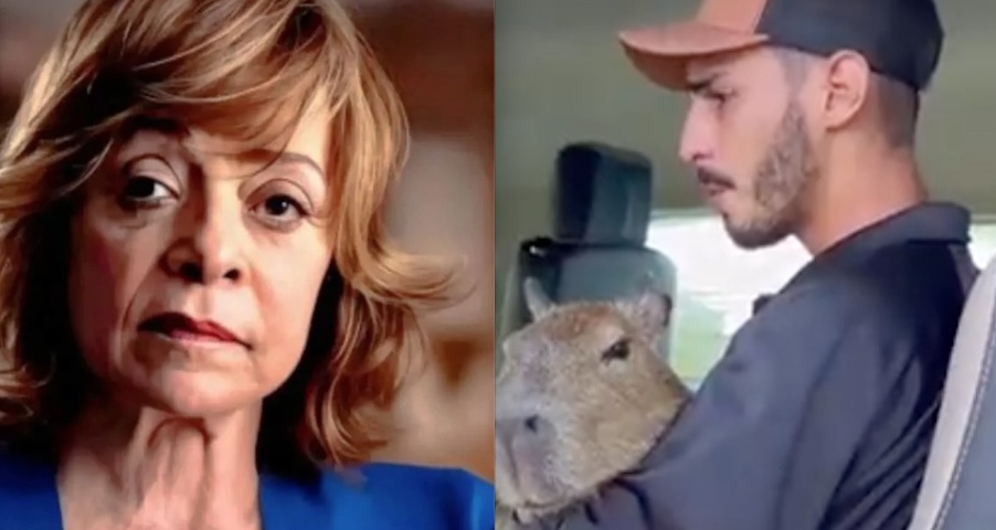 Gloria Perez lamenta destino de Agenor e capivara Filó