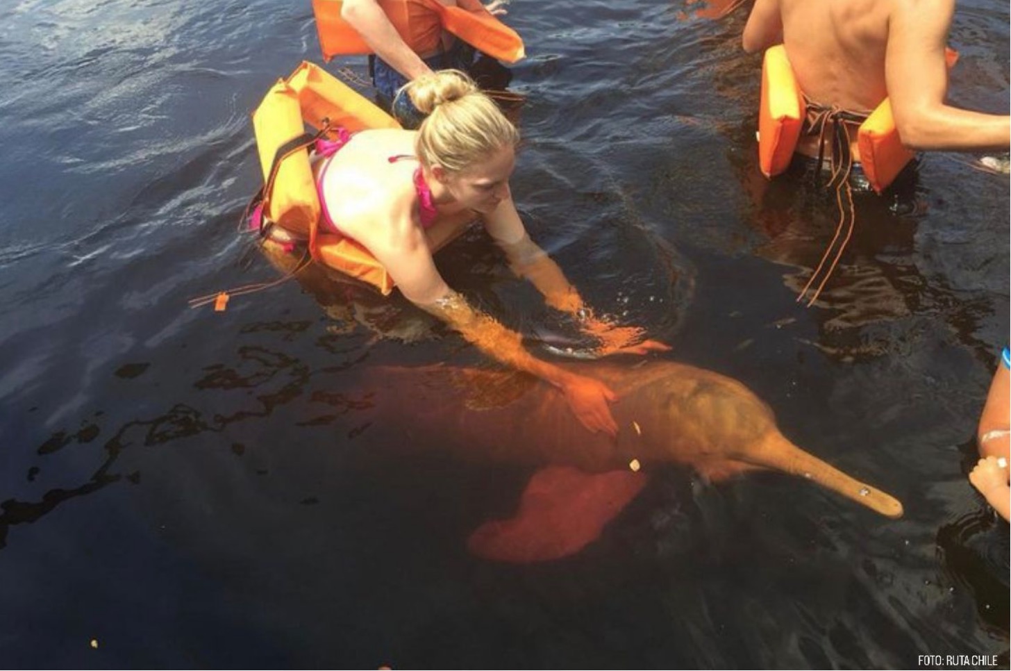 Let’s go turistar em Manaus, no Safari Amazônico