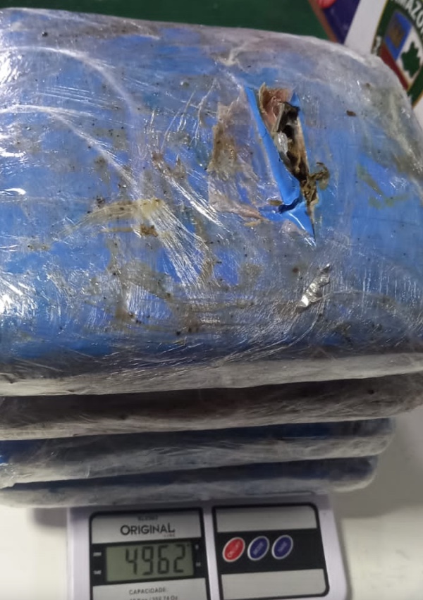 Cadela policial encontra 12 kg de maconha em barco no Amazonas