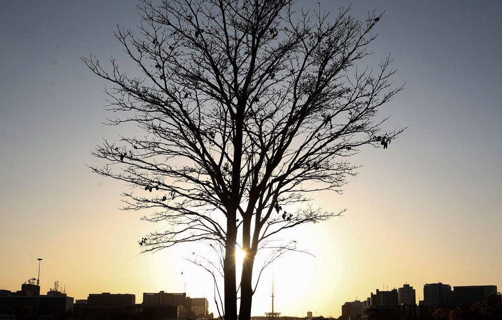Temperaturas globais devem subir a níveis recordes nos próximos anos