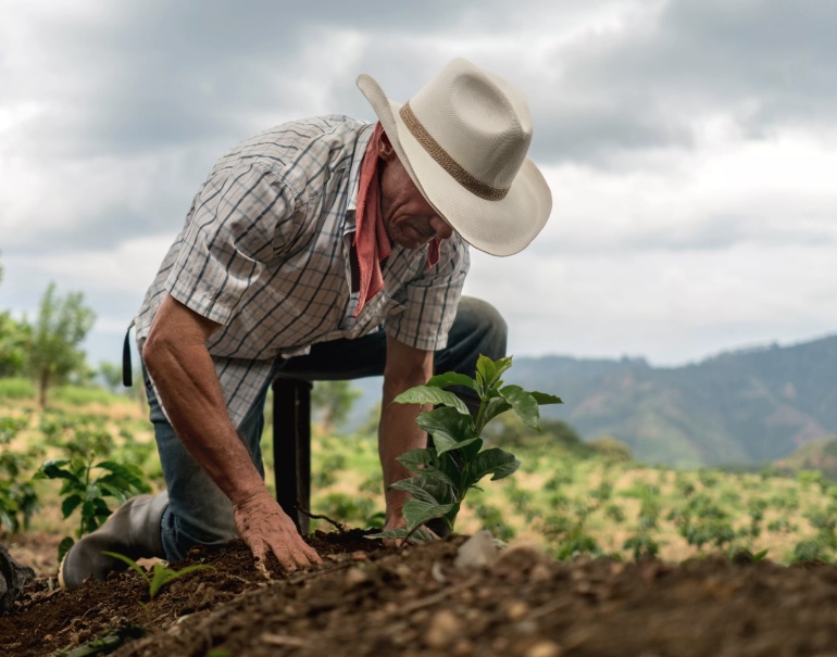 Agricultor é aposentado após não conseguir trabalhar por dores na coluna