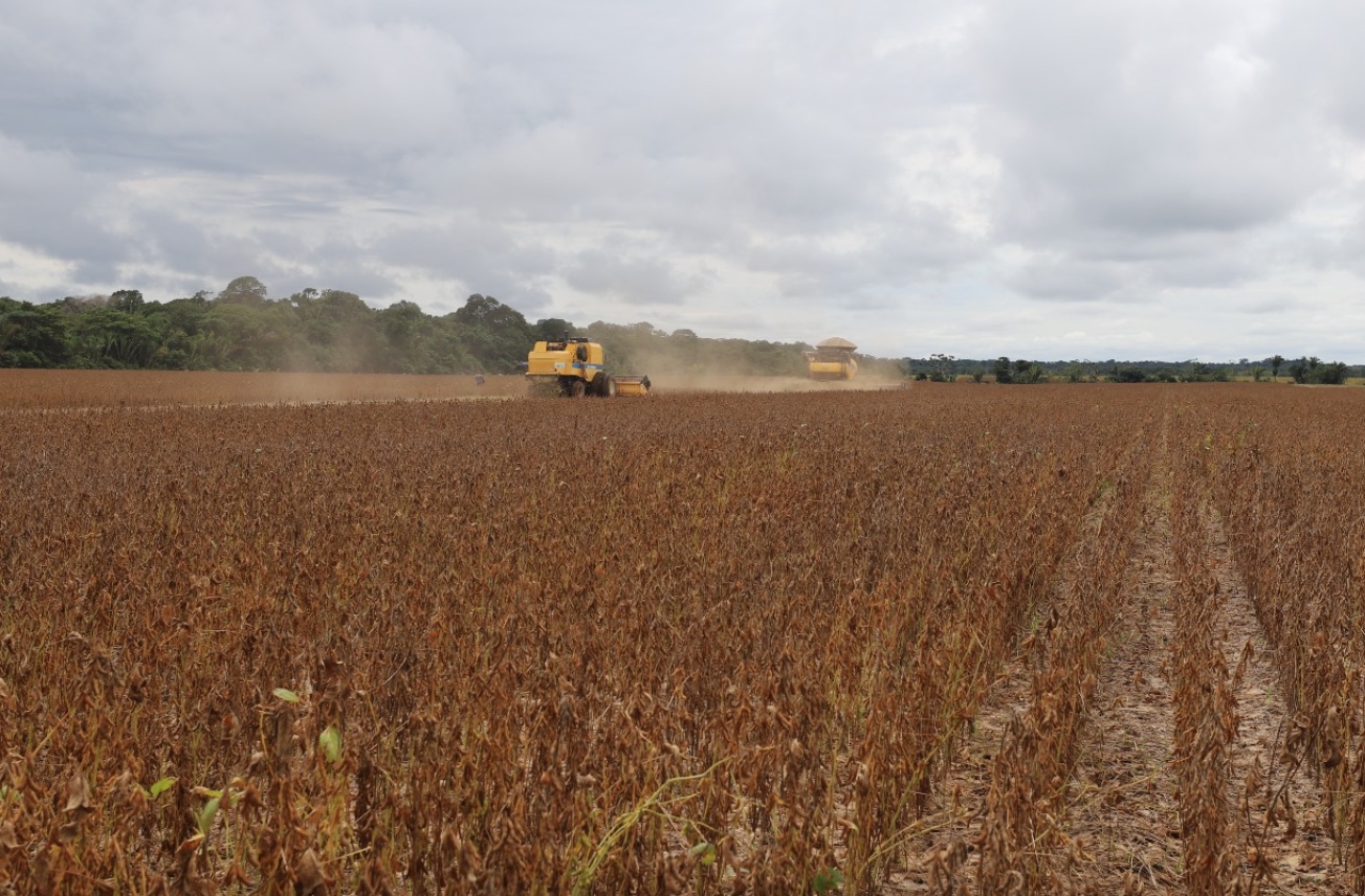 Plantio de soja está proibido no Amazonas até 15 de setembro