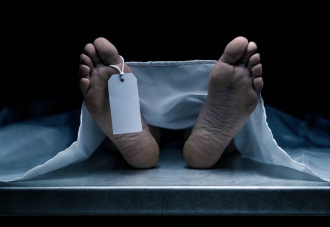 Ex-gerente de necrotério de Harvard vira réu por vender partes de cadáveres online