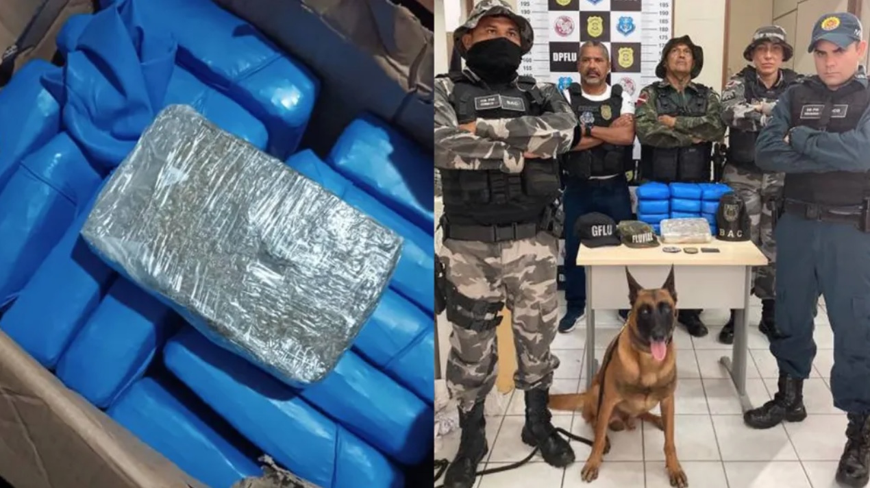 Drogas despachadas em Manaus são apreendidas em navio no Pará