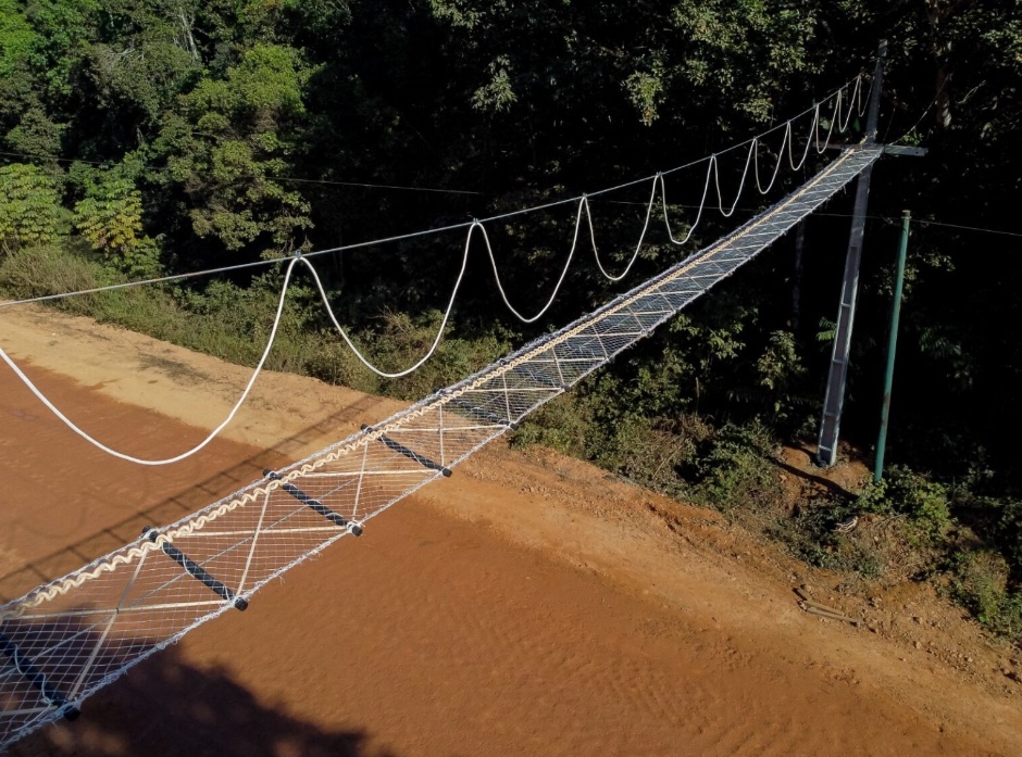 Ponte suspensa para travessia de animais é instalada na BR-319, no Amazonas