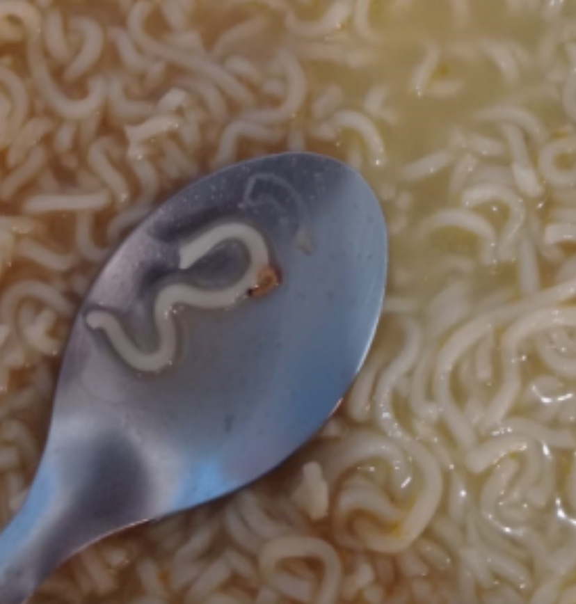 Nissin vai indenizar consumidor que comeu miojo com larvas em Manaus