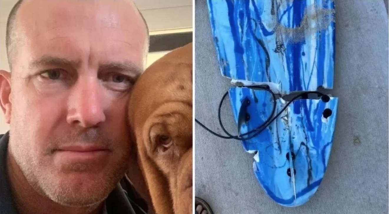 Tubarão-branco de 4 metros 'arranca' pé de surfista em praia da Austrália