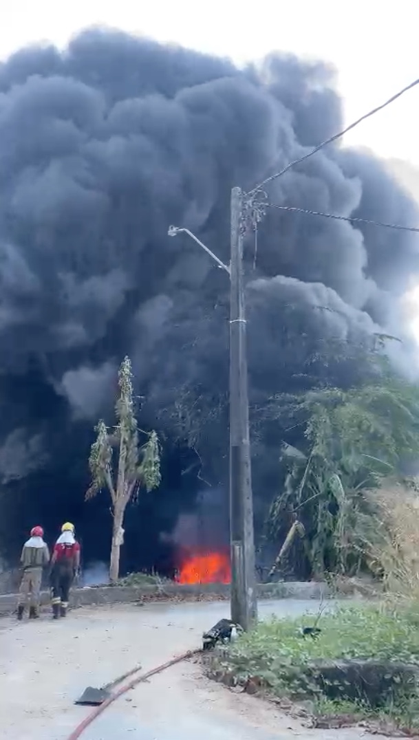 Incêndio em área de mata deixa populares em pânico em Manaus; veja vídeo