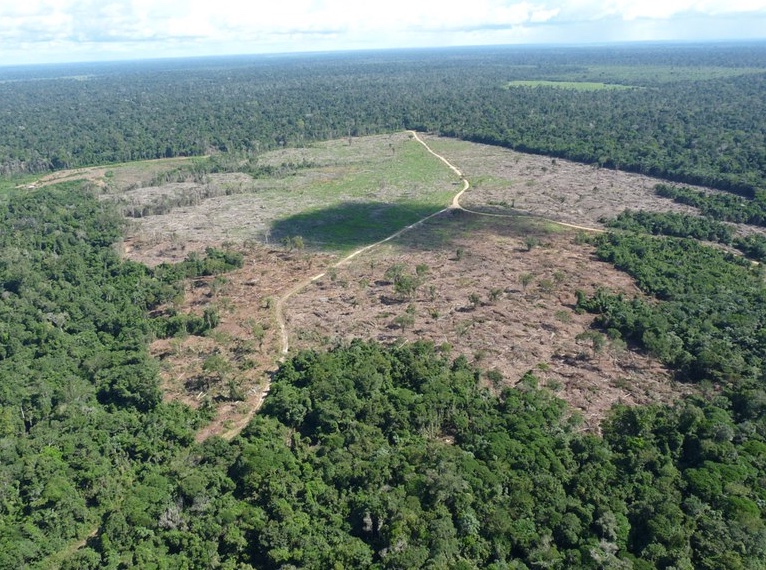 AGU cobra R$ 292 milhões de pecuarista por desmatamento no Amazonas
