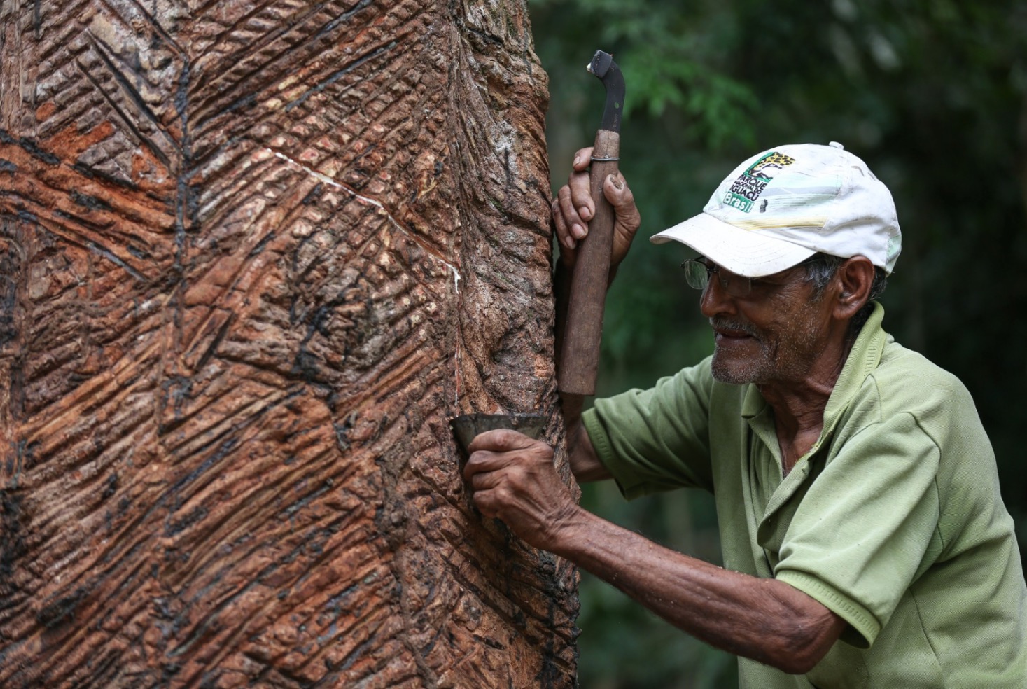 Vamos turistar no Museu do Seringal? Uma História de Resiliência