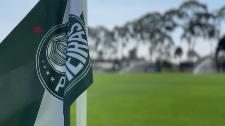 Palmeiras vê distância para o Botafogo cair e volta a sonhar com Brasileiro