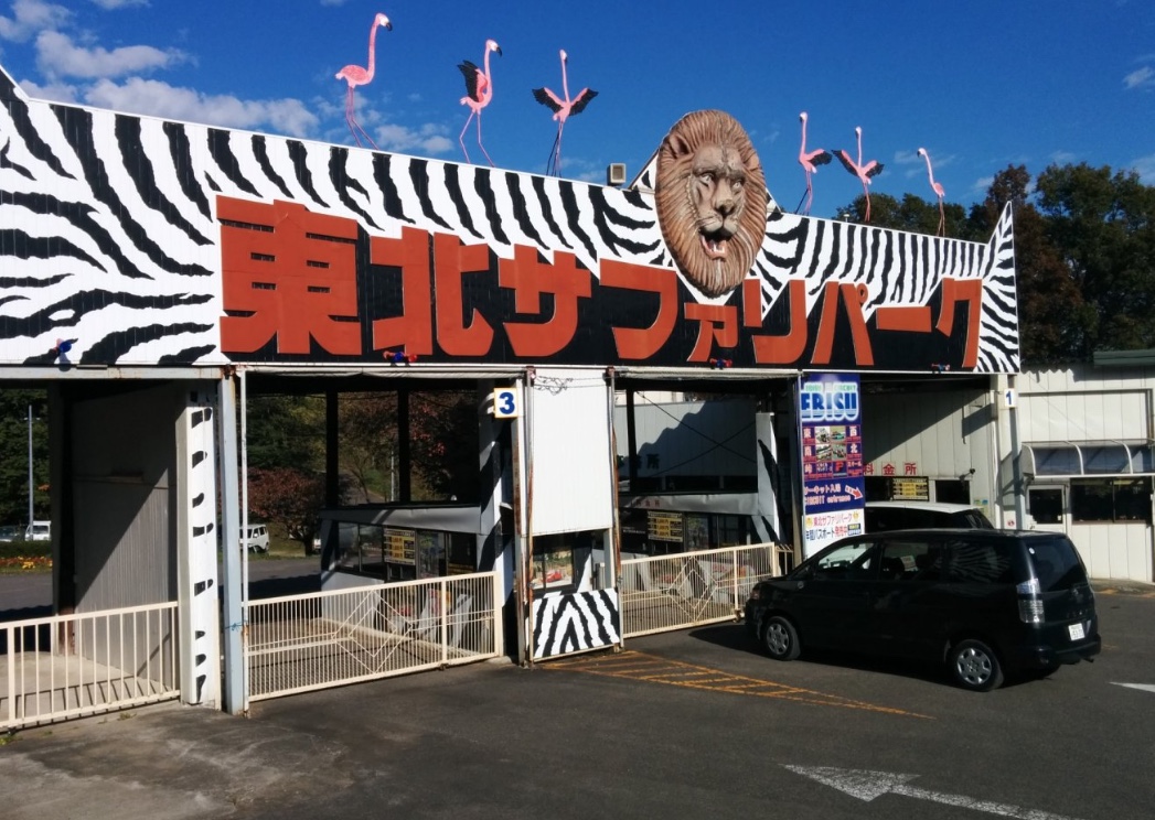 Tratador morre após ser atacado enquanto alimentava leão em zoo do Japão