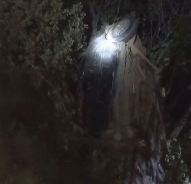 Homem morre ao atropelar cavalos em acidente violento na BR-174