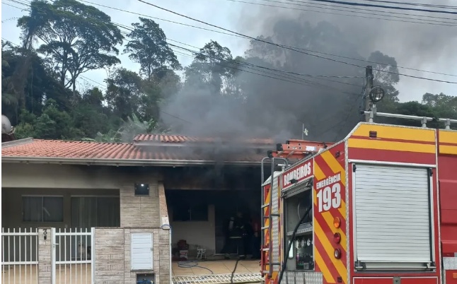 Homem invade casa de ex-namorada e mata 6 gatos após término 