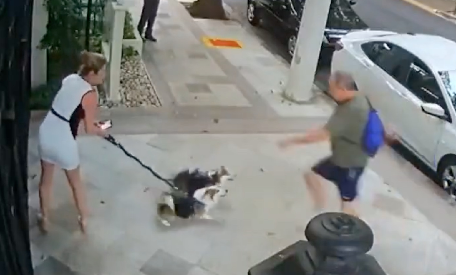 Suspeito de atacar irmã do ministro do STF Cristiano Zanin é identificado 