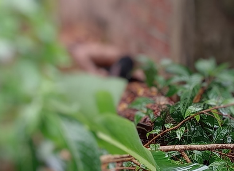 Corpo decapitado é encontrado em matagal na Compensa