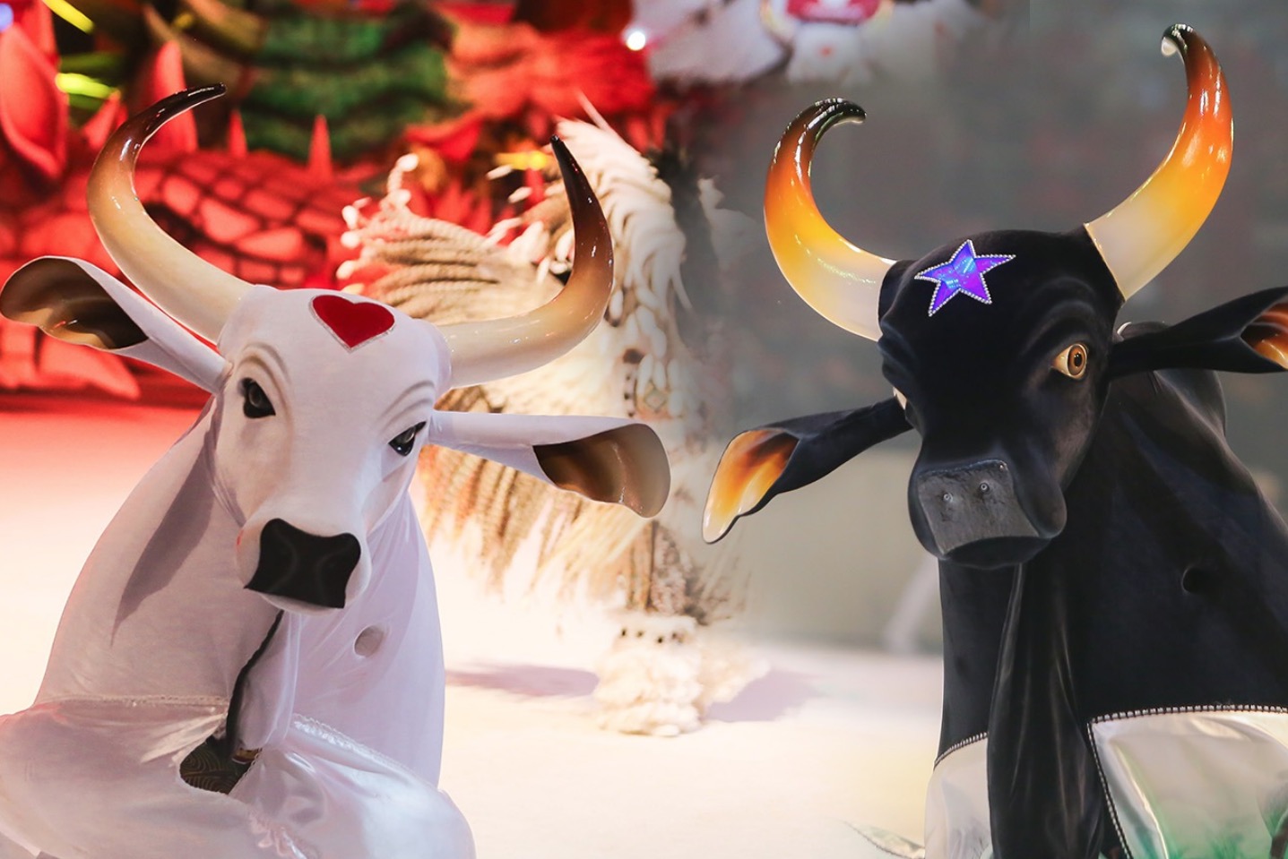 Festival de Parintins Para o Brasil Ver