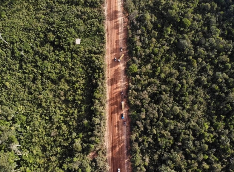 Deputados federais vão debater impactos econômicos das obras da BR-319
