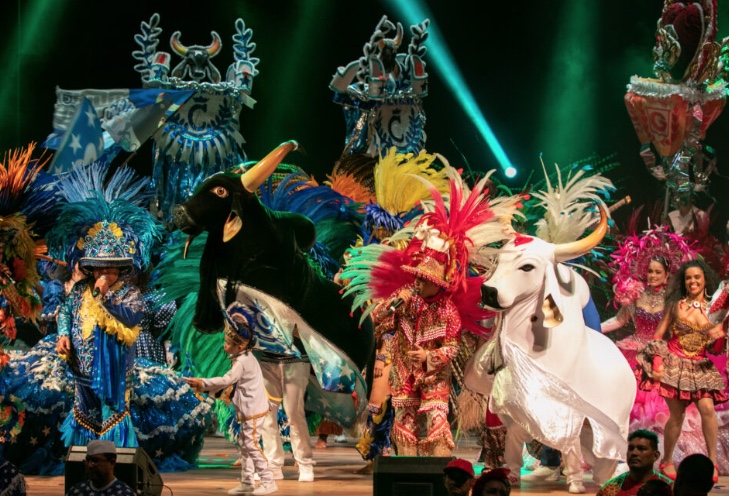 Passagens aéreas para Parintins custam quase R$ 5 mil 