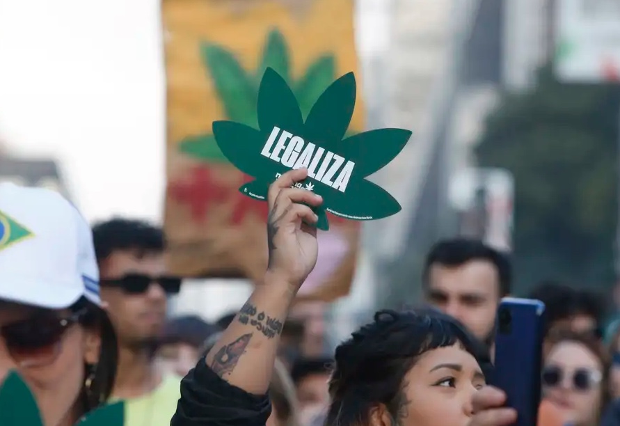 Entenda as três teses em julgamento do STF sobre descriminalização de maconha