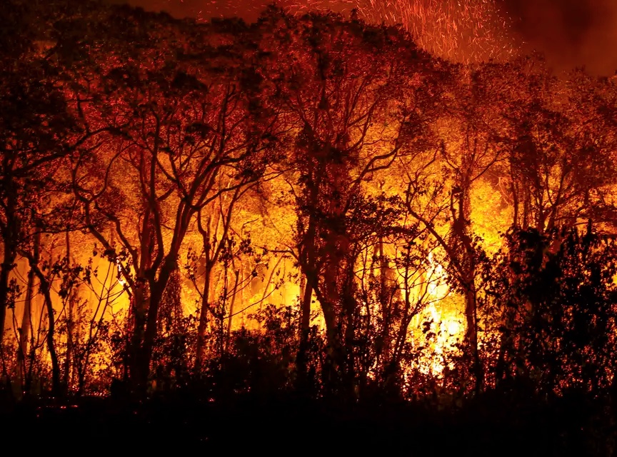Marina Silva diz que incêndios no Pantanal e na Amazônia são por 'ação humana'