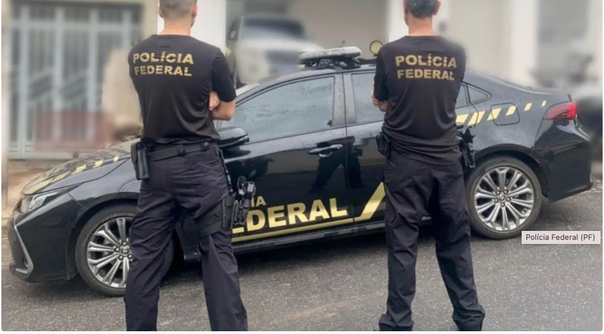 Operação da PF descobre grupo de tráfico de animais silvestres