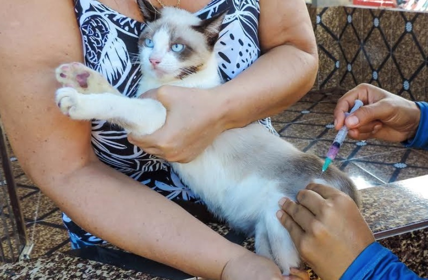 Vacinação contra raiva é antecipada no Amazonas