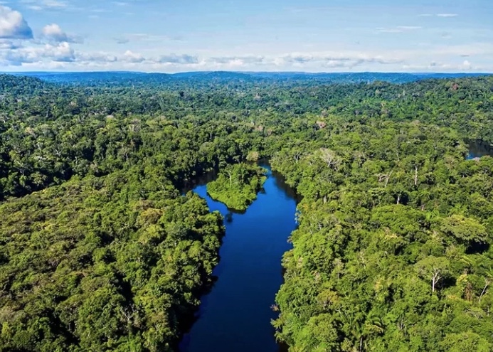 União Europeia doa R$ 120 milhões para o Fundo Amazônia