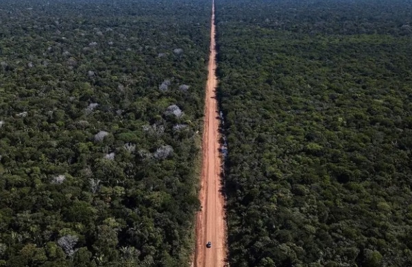 Justiça do Amazonas suspende licença para asfaltamento da BR-319
