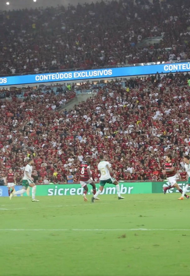 Flamengo domina o Palmeiras e vence por 2 a 0 no Maracanã