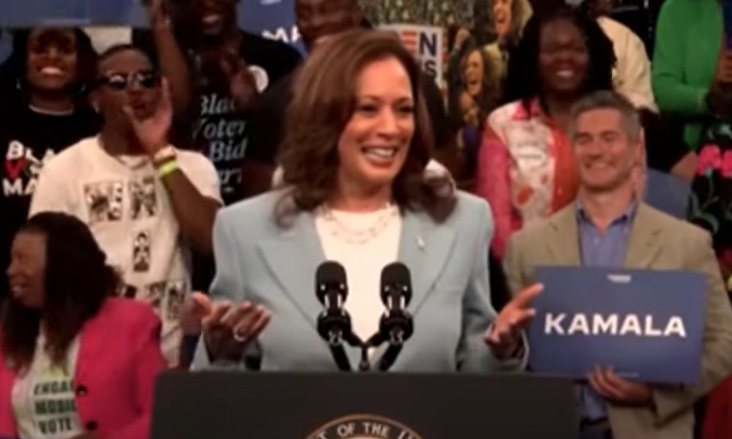 Kamala Harris é oficializada como candidata à Presidência dos EUA 