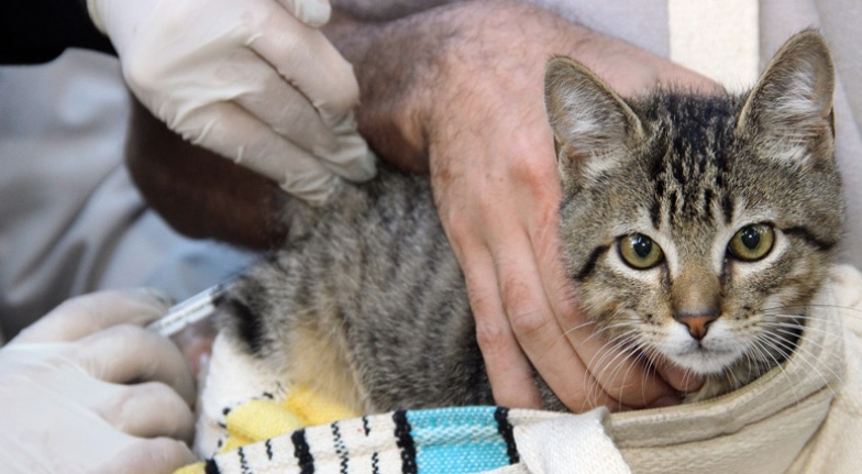 Processo seletivo contrata 300 vacinadores em Manaus