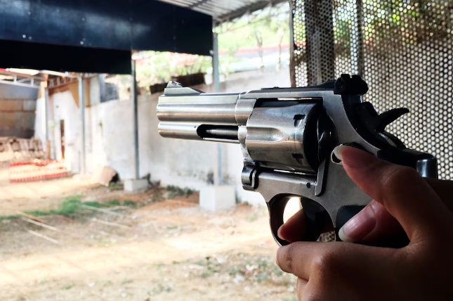 CCJ do Senado aprova decreto que reduz exigências para armas de fogo