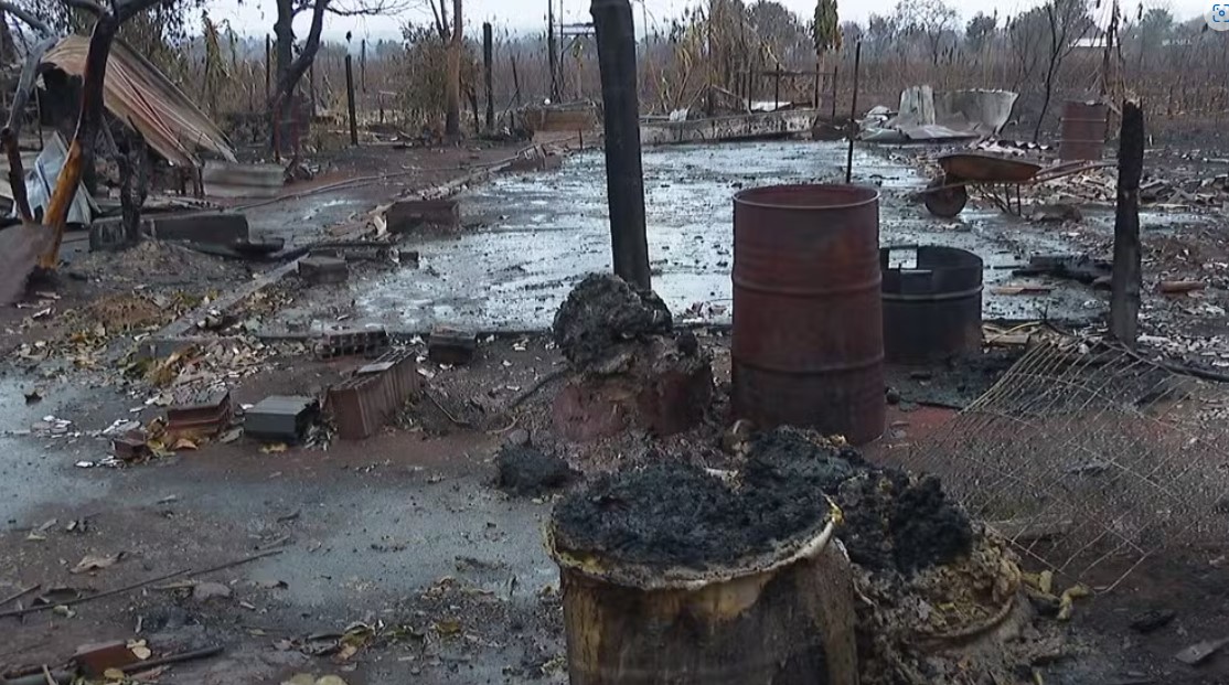 Incêndio mata 217 animais e destrói casas e lavouras em Pradópolis