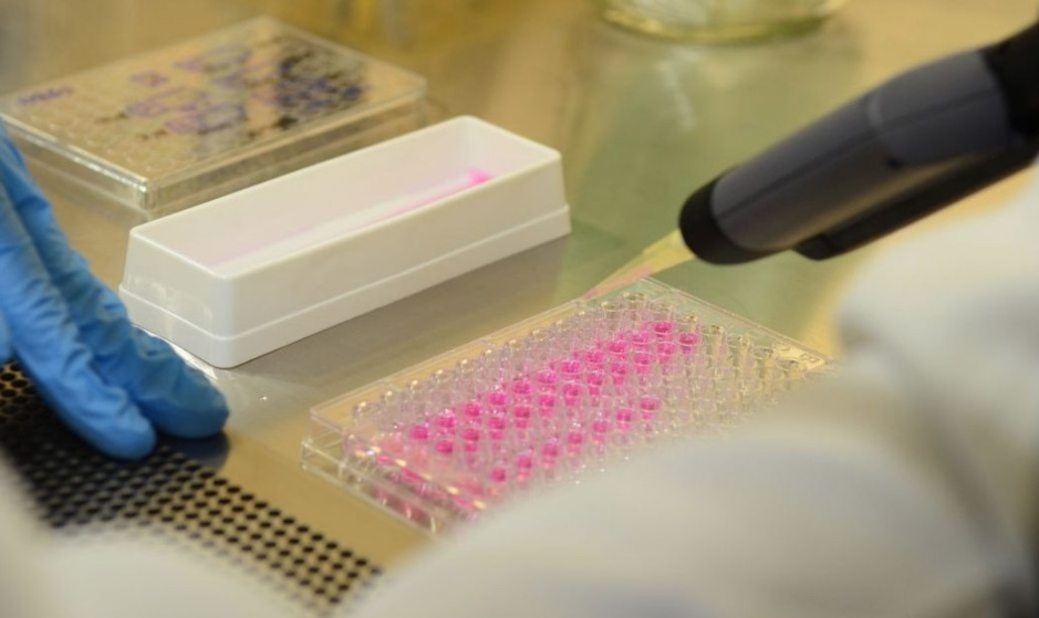 Ministério da Justiça vai usar DNA para ajudar buscas de desaparecidos