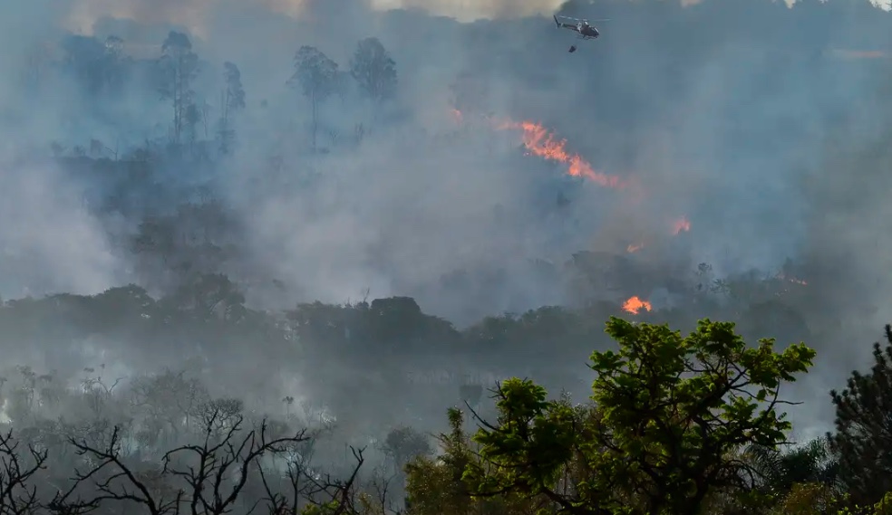 Setembro deve ser o mês mais quente da história no Brasil