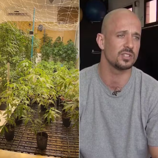 Ex-surfista profissional, Rodrigo Sino é preso com plantação de maconha 