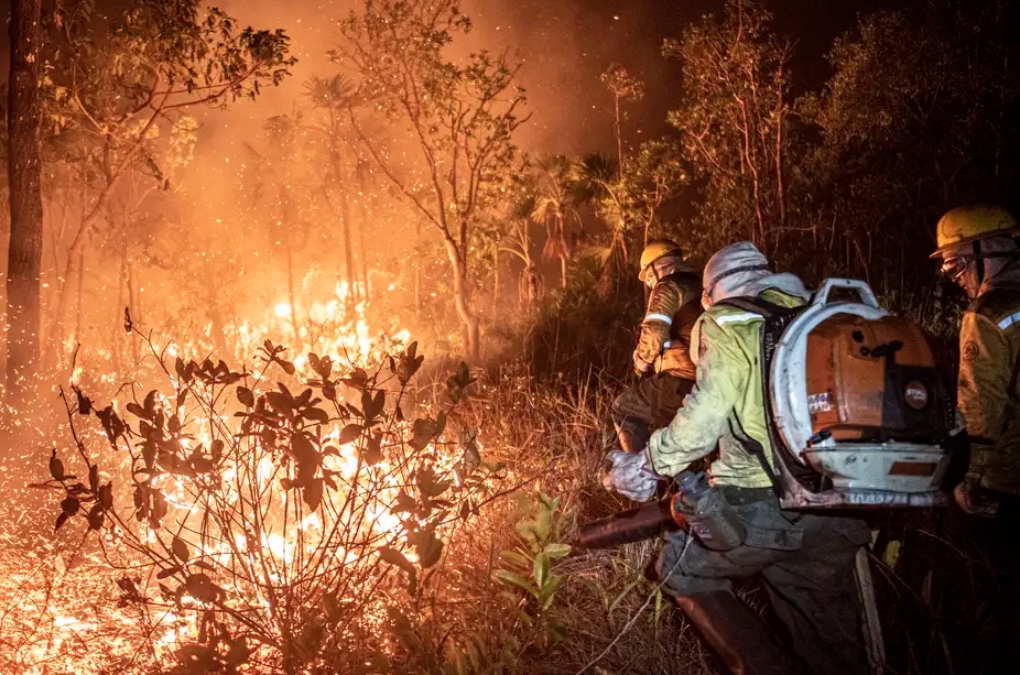 Governo estuda medida provisória para barrar grilagem de terras atingidas por fogo