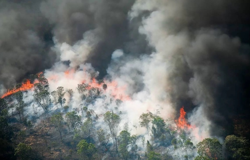 MP do Amazonas fiscaliza ações de combate às queimadas em Urucará 
