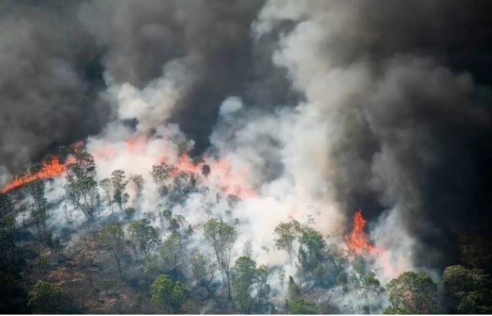 AGU cobra R$ 89 milhões de acusados de causar queimadas na Amazônia