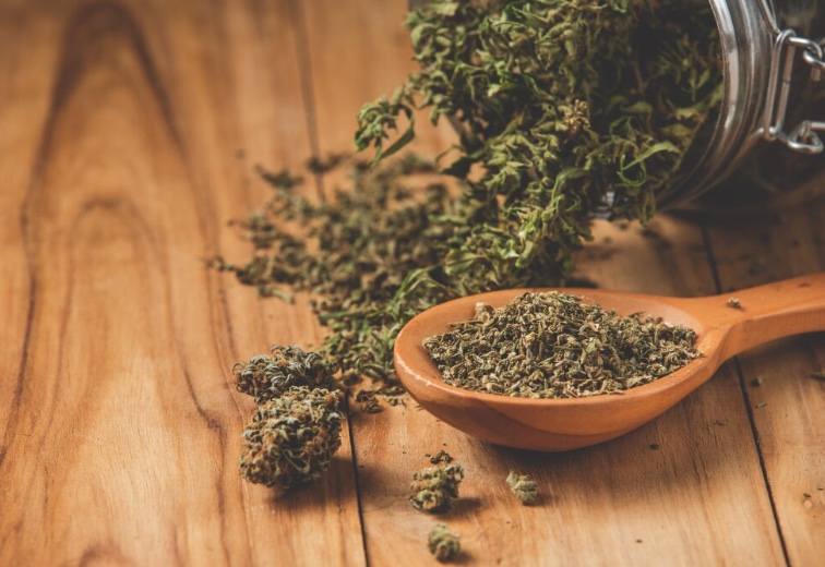 STJ começa a julgar importação e cultivo de cannabis para fins medicinais