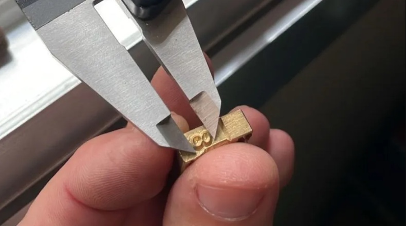 PF deflagra operação contra falsificação de anilhas para tráfico de aves