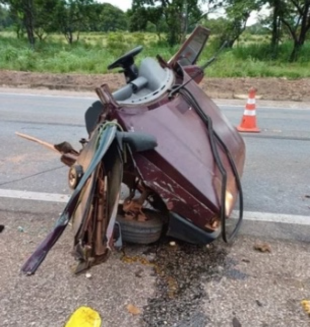 Duas crianças morrem em acidente com tamanduá