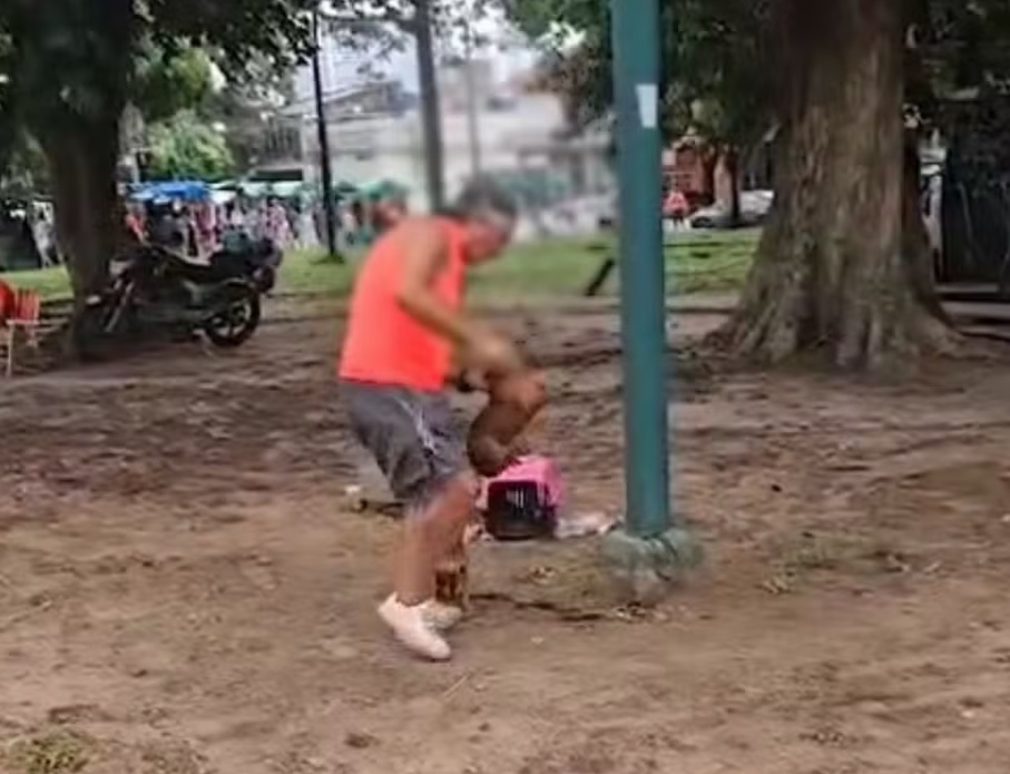 Homem é preso após agredir filhote de cachorro 