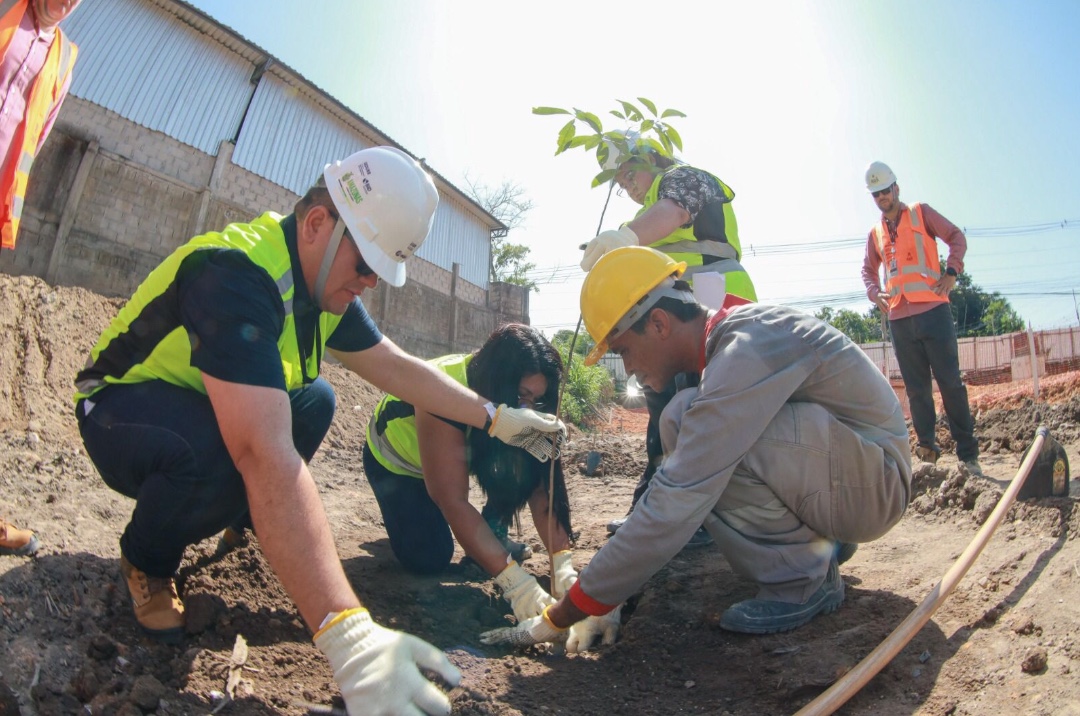 Projeto do Prosamin+ foca em reflorestamento de áreas degradadas