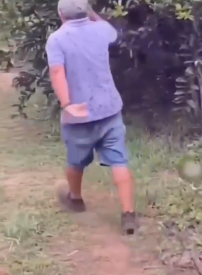 Ex-vereador morre após ser atacado por abelhas