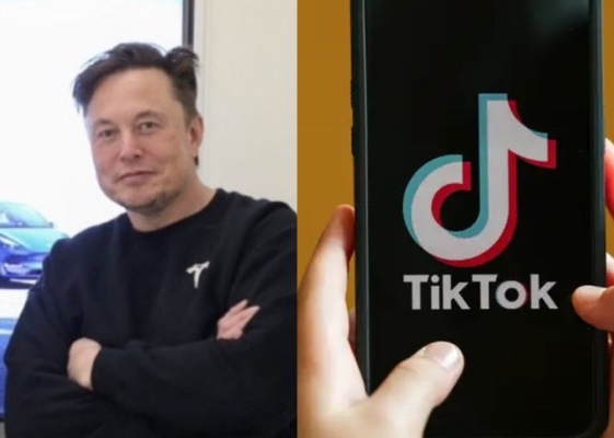 Musk vai comprar o TikTok? Dona da rede social se manifesta sobre rumor