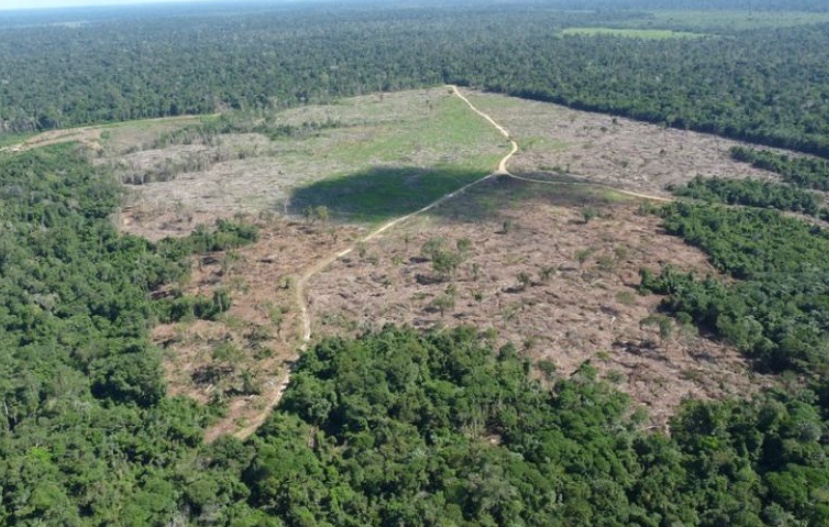 Ministro do STF exige mais informações sobre plano de proteção da Amazônia