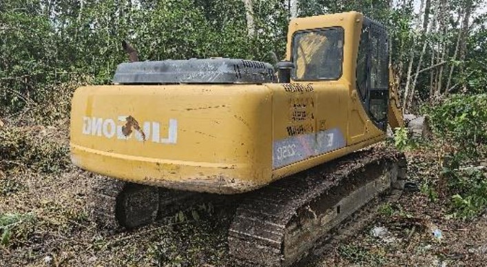 Homem é preso ao ser flagrado destruindo área verde na BR-174