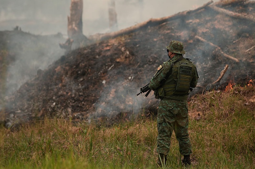 STF manda governo usar fundos ambientais retidos na proteção da Amazônia